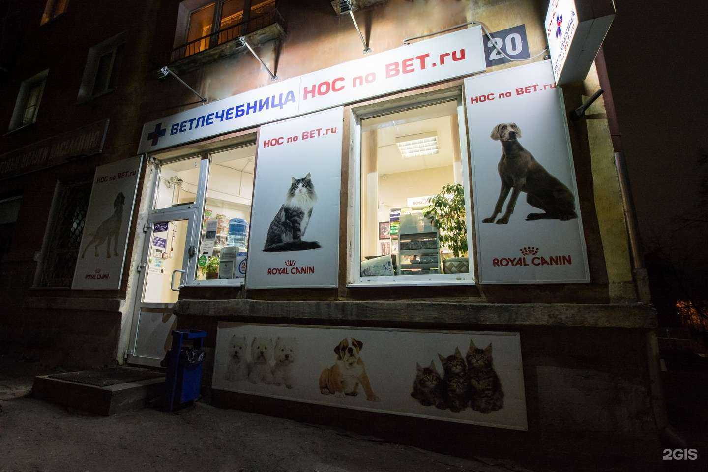 Отзывы на компанию НОС по ВЕТ.ru в Петрозаводске c фото