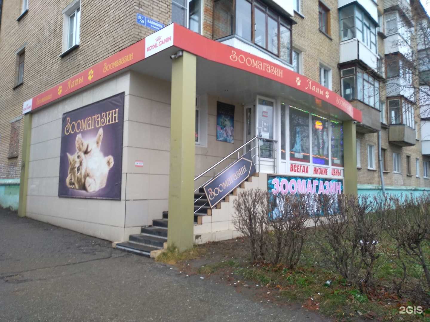 Отзывы на компанию Лапы в Новомосковске c фото