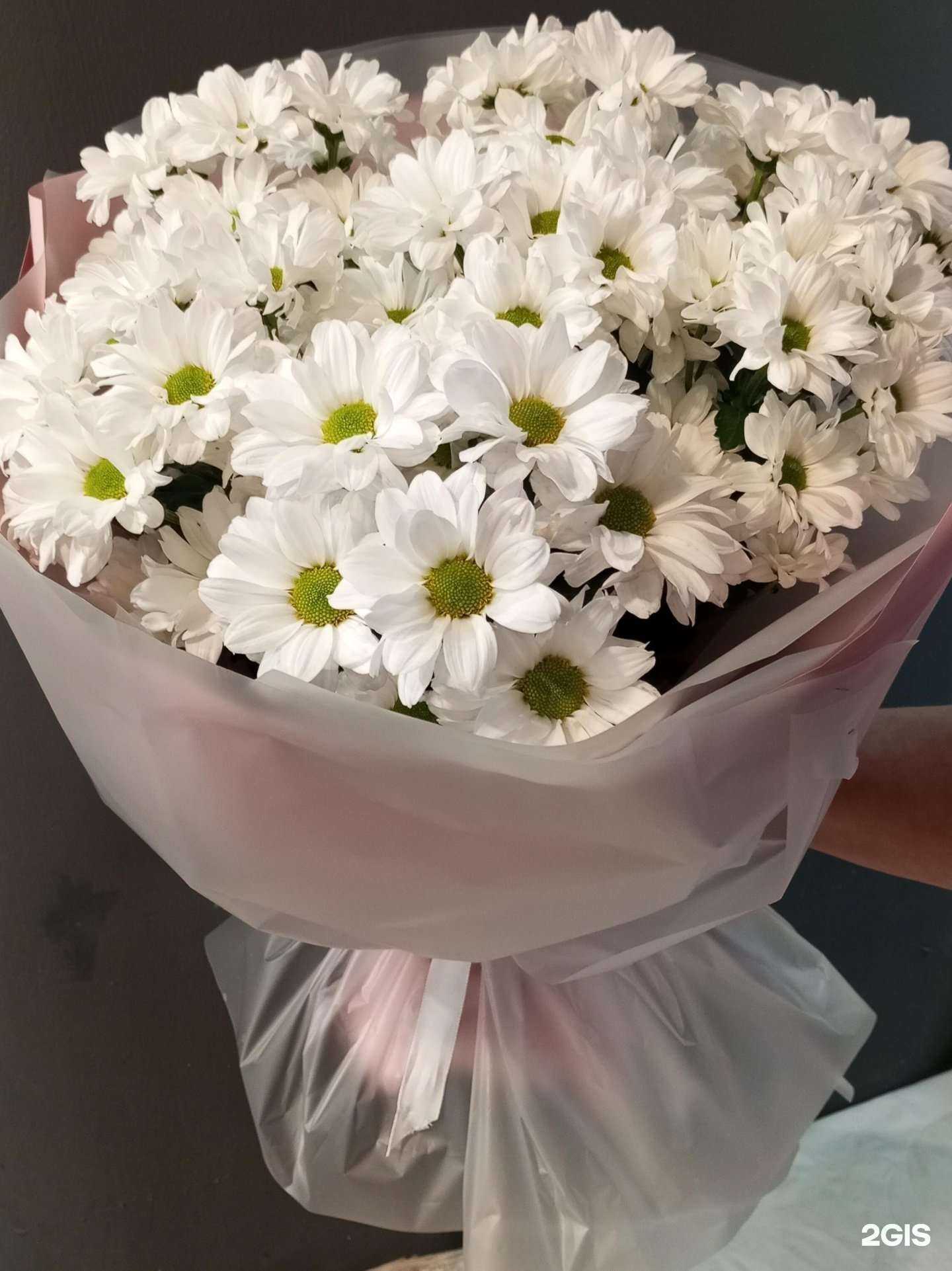 Отзывы на компанию Pink в Новосибирске c фото