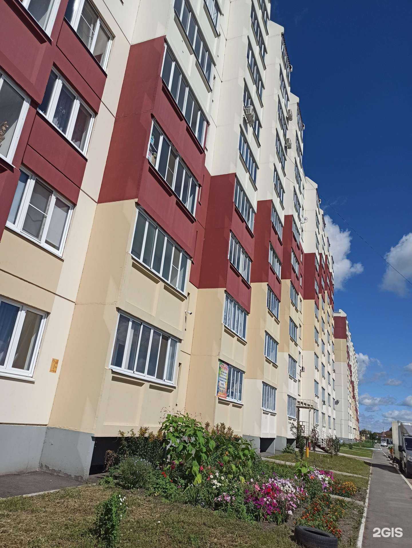 Отзывы на компанию Чудо детки в Омске c фото - фотография 2 из 2