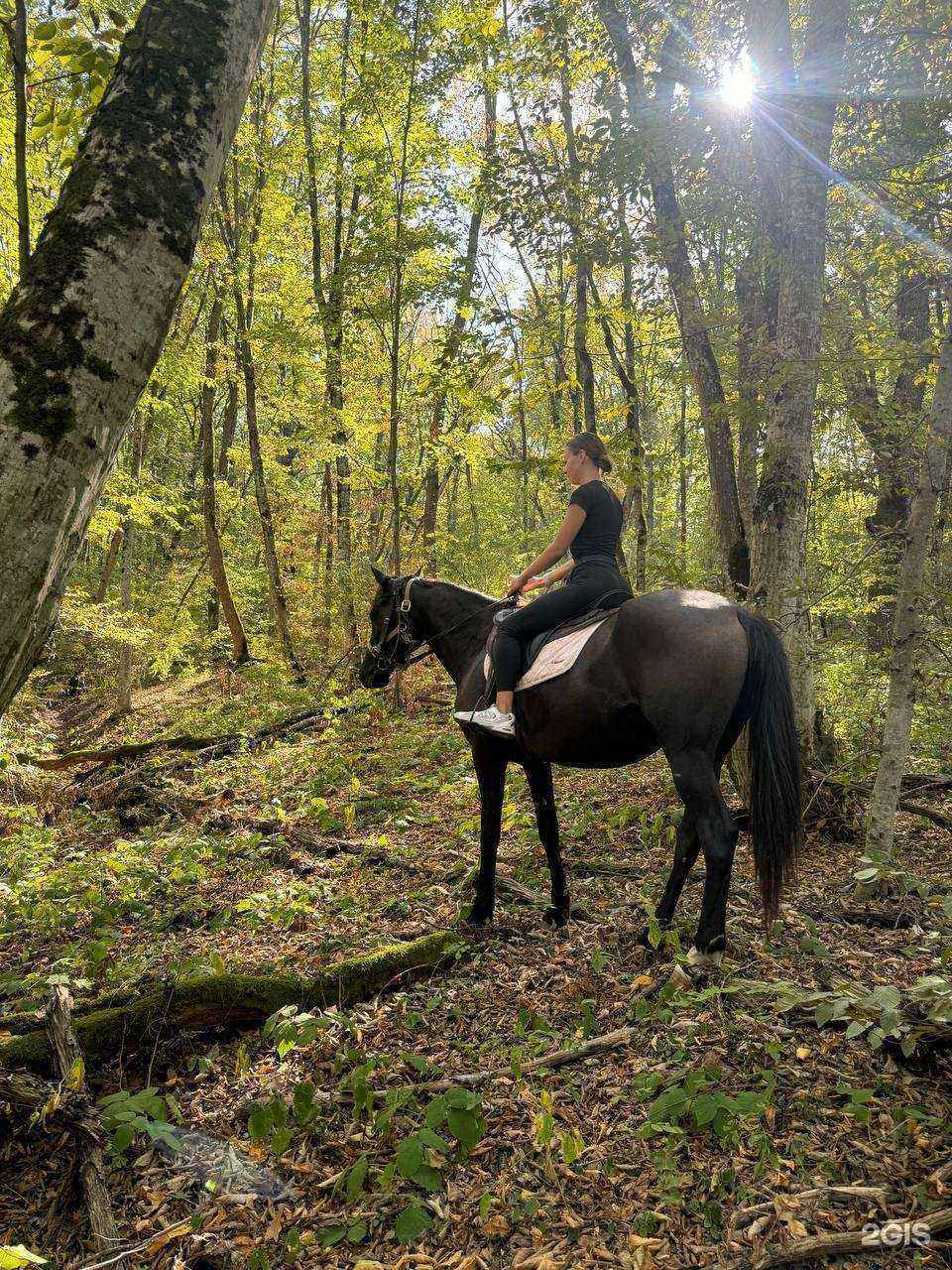 Отзывы на компанию Бонпари в Абинске c фото