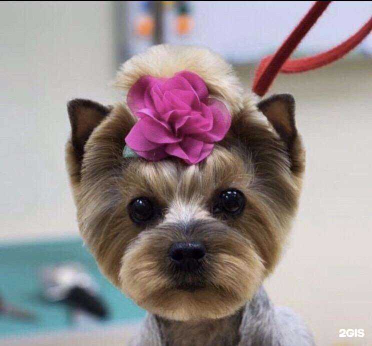 Отзывы на компанию Friends в г. Сургут c фото