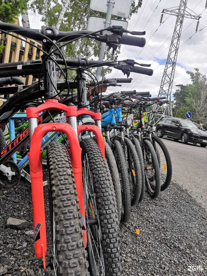 Отзывы на компанию Stepan_Prokatov в Красноярске c фото