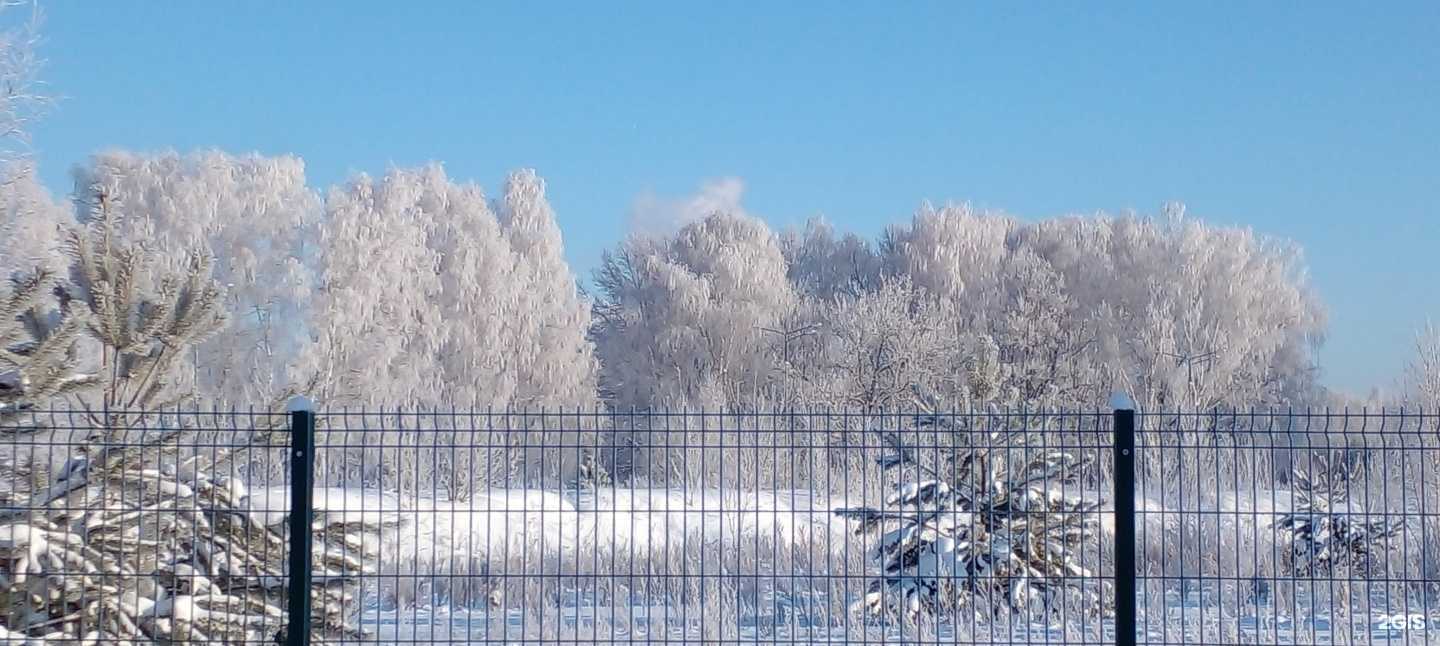 Отзывы на компанию Алтын Хыял в Казани c фото