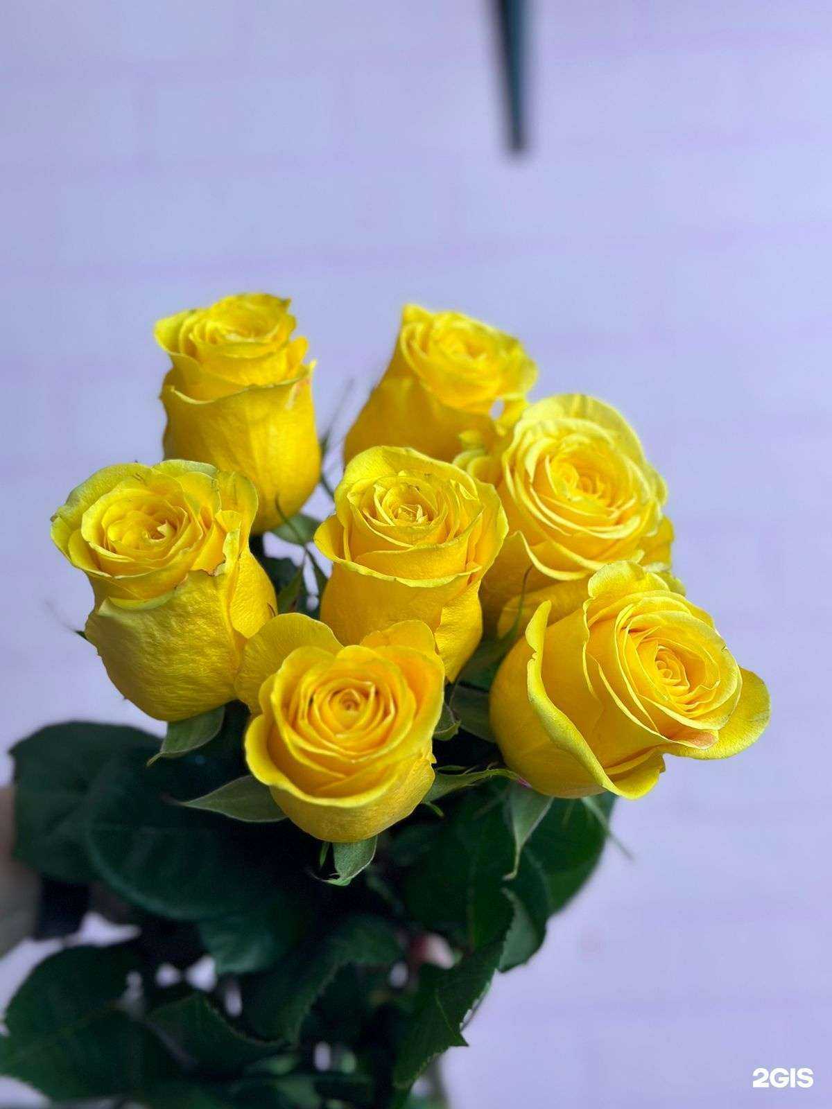 Отзывы на компанию #Цветник в г. Новокузнецк c фото