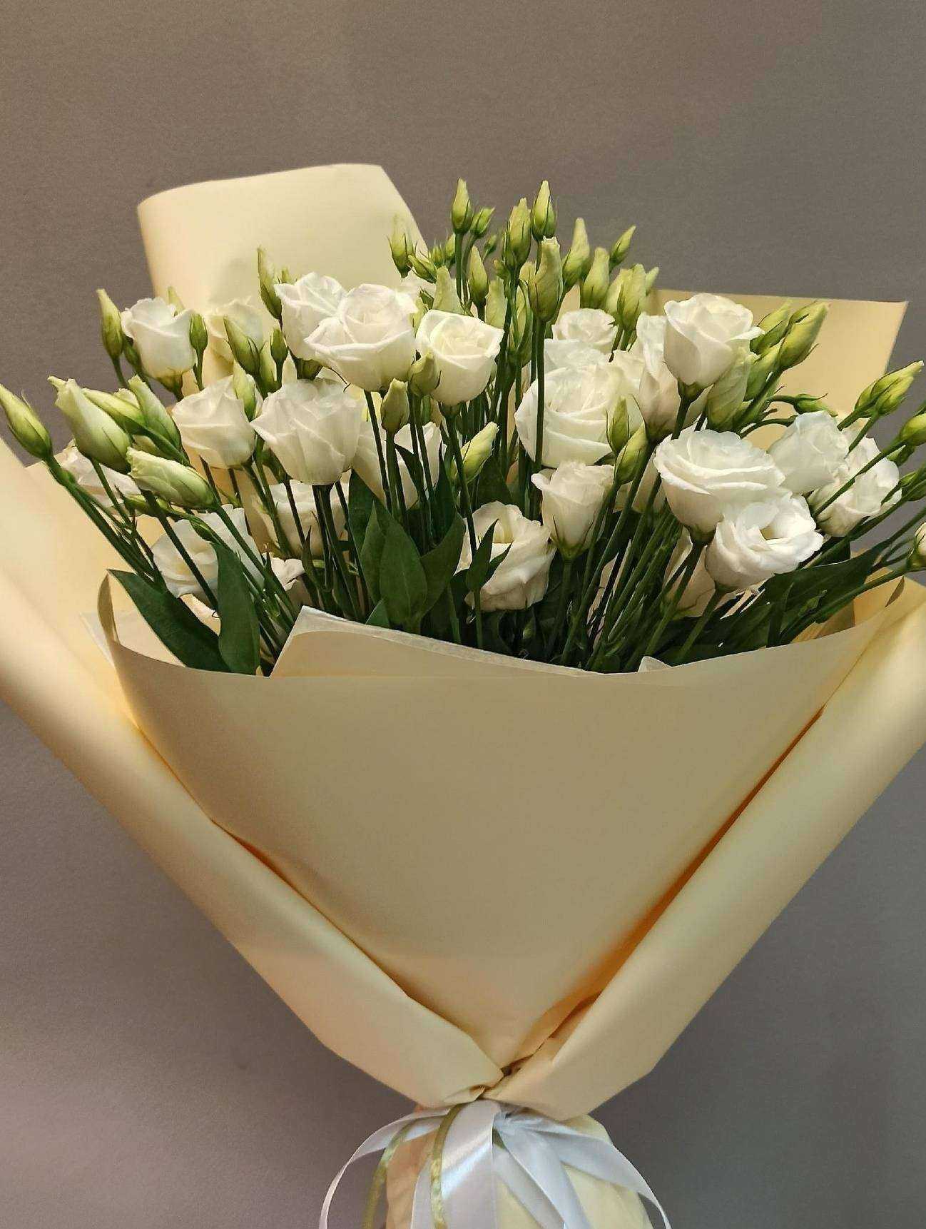 Отзывы на компанию Кактус в г. Липецк c фото