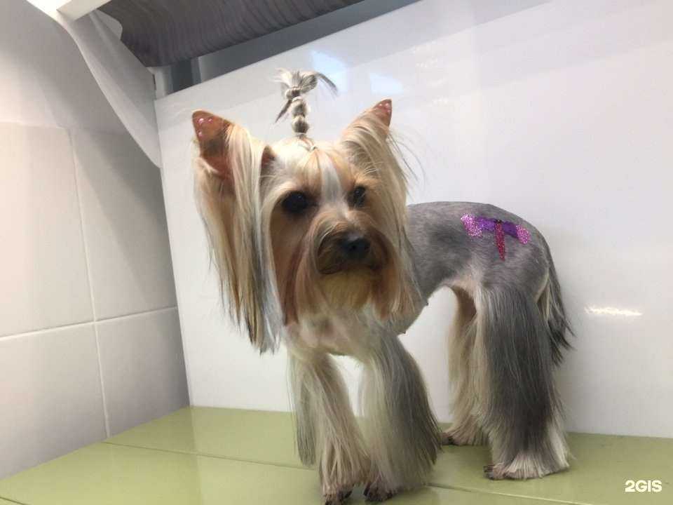 Отзывы на компанию Лилу в г. Красноярск c фото