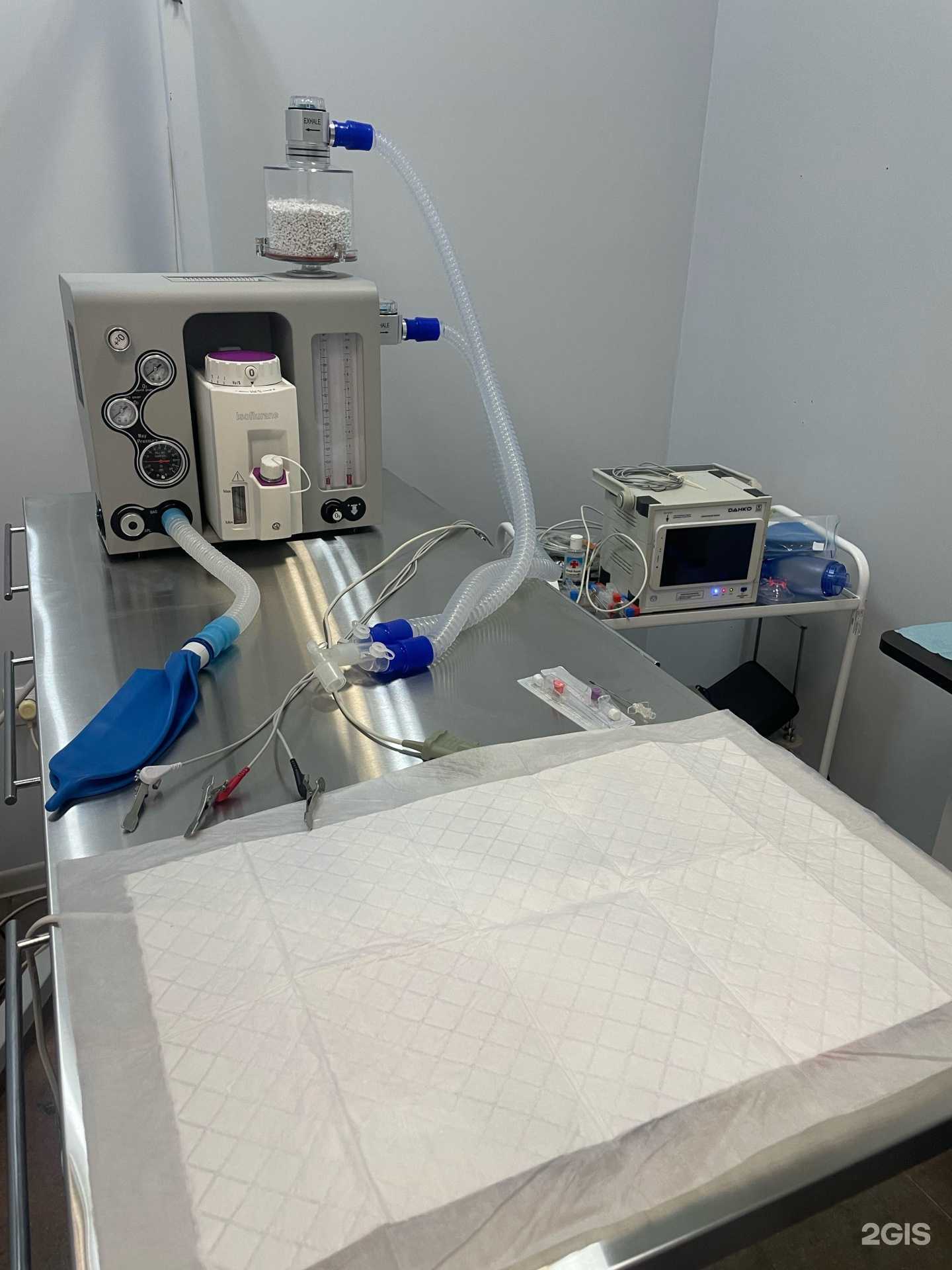 Отзывы на компанию Exovet в Иркутске c фото