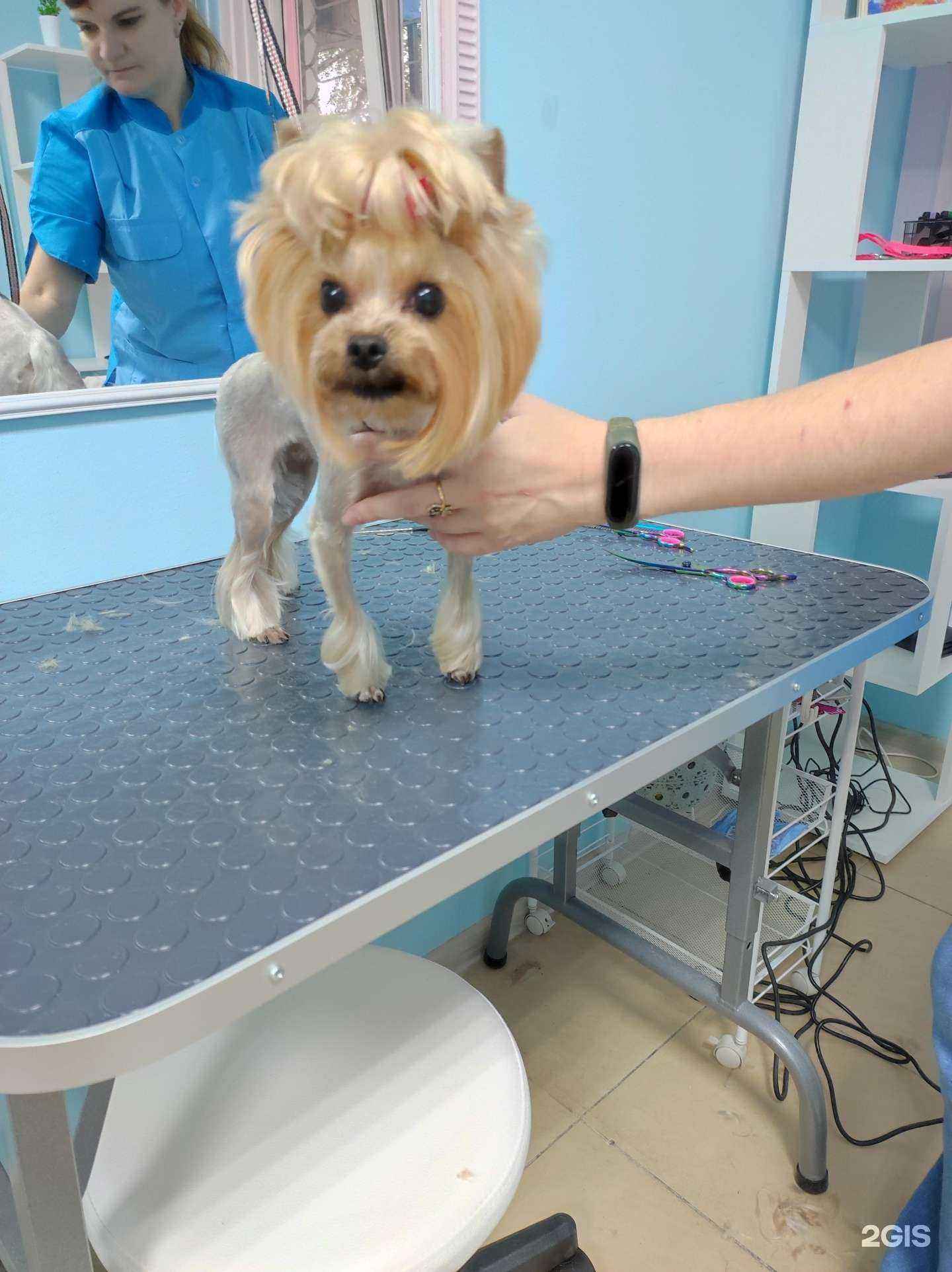 Отзывы на компанию Хвастун в г. Белгород c фото