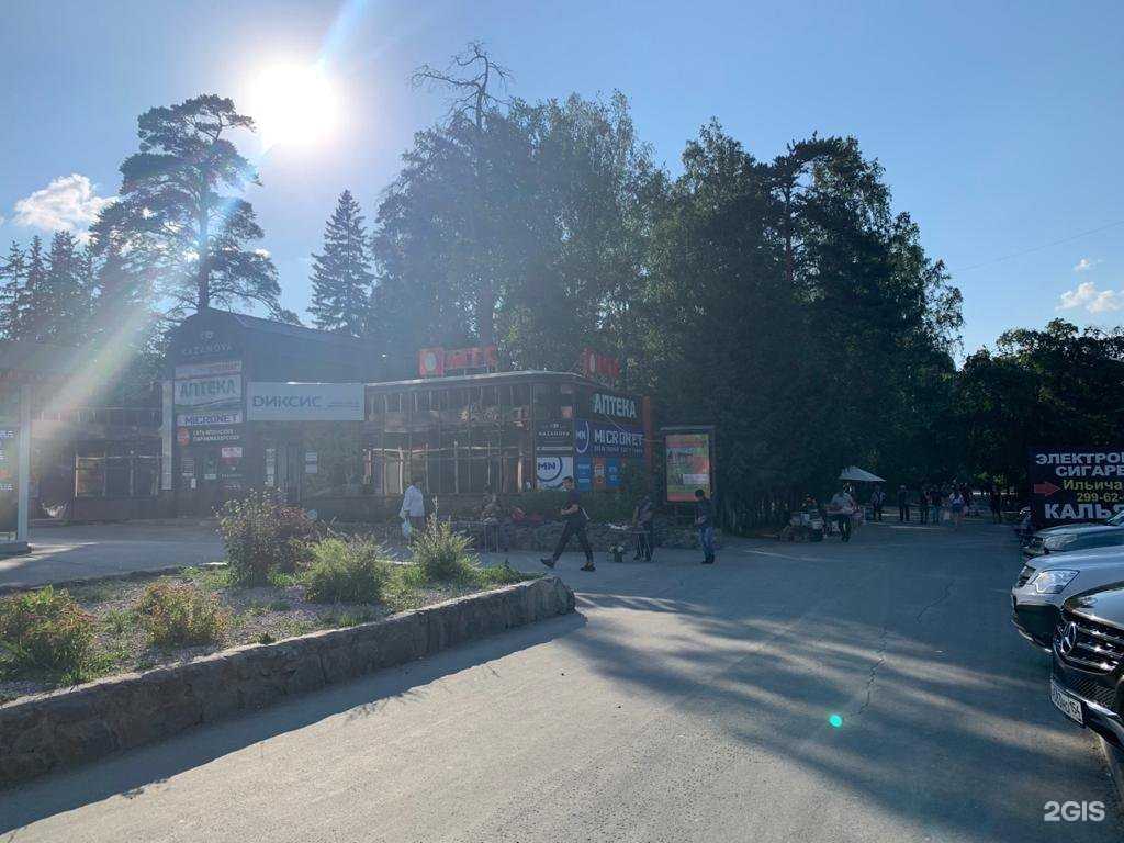 Отзывы на компанию Орхидея в Новосибирске c фото