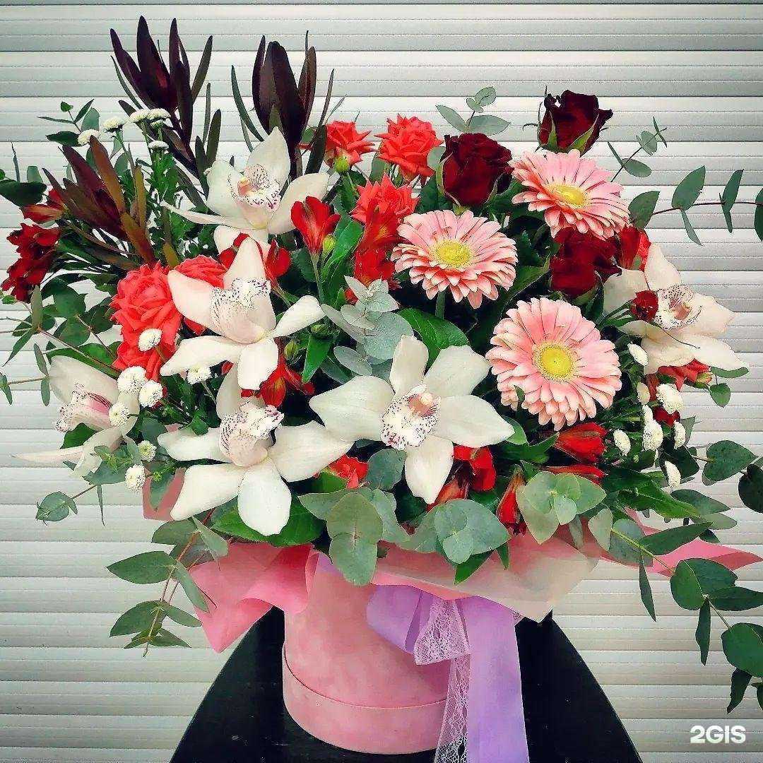 Отзывы на компанию Vetka в Подольске c фото