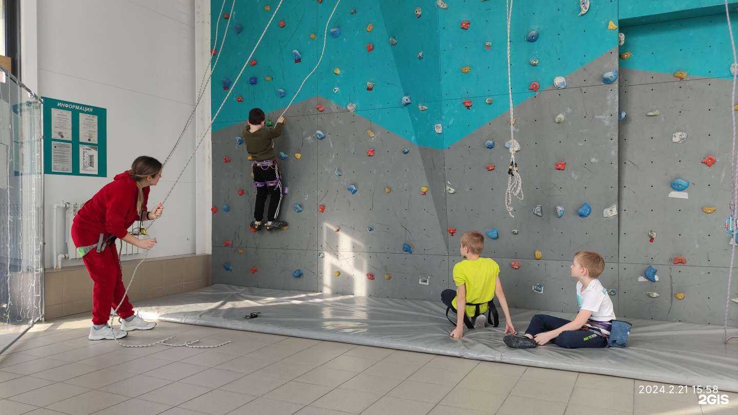 Отзывы на компанию Царь горы в Саратове c фото