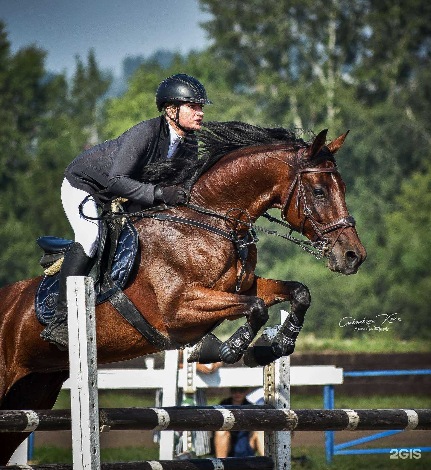 Отзывы на компанию Эквилибриум в г. Красноярск c фото