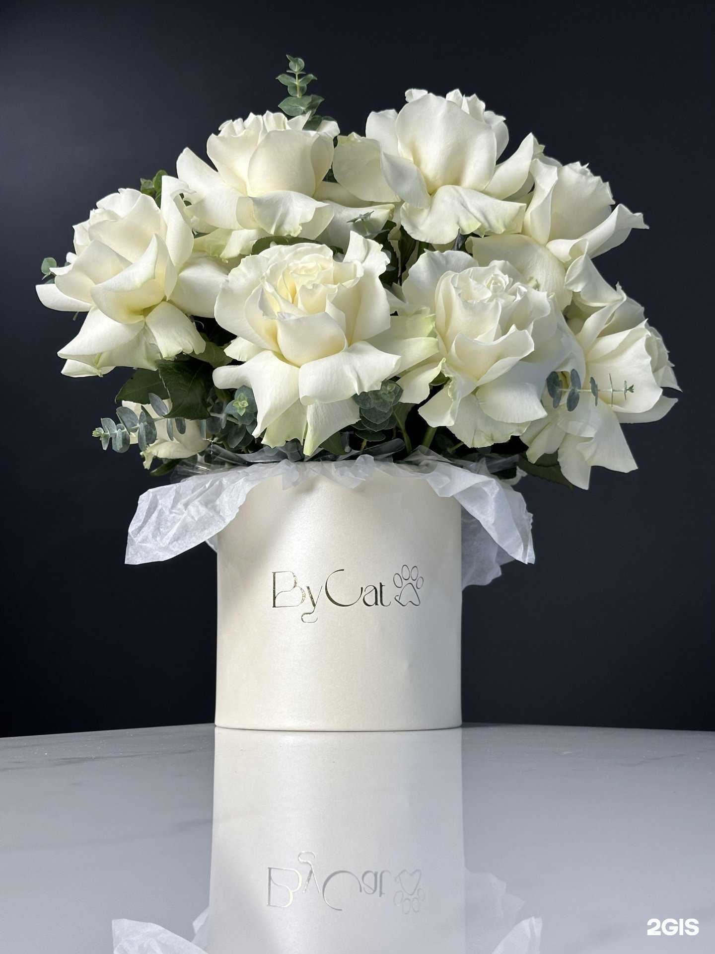 Отзывы на компанию ByCat в г. Сочи c фото