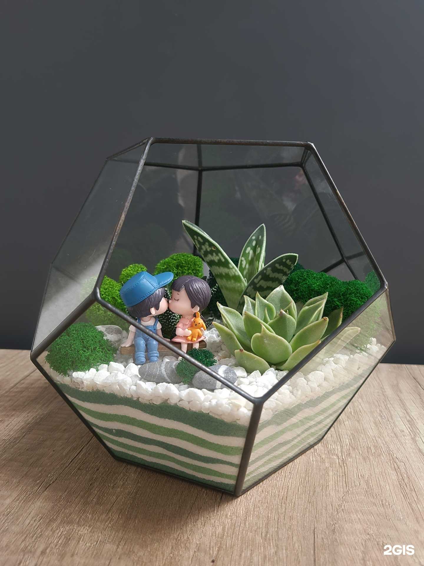 Отзывы на компанию Фитостудия в г. Курск c фото