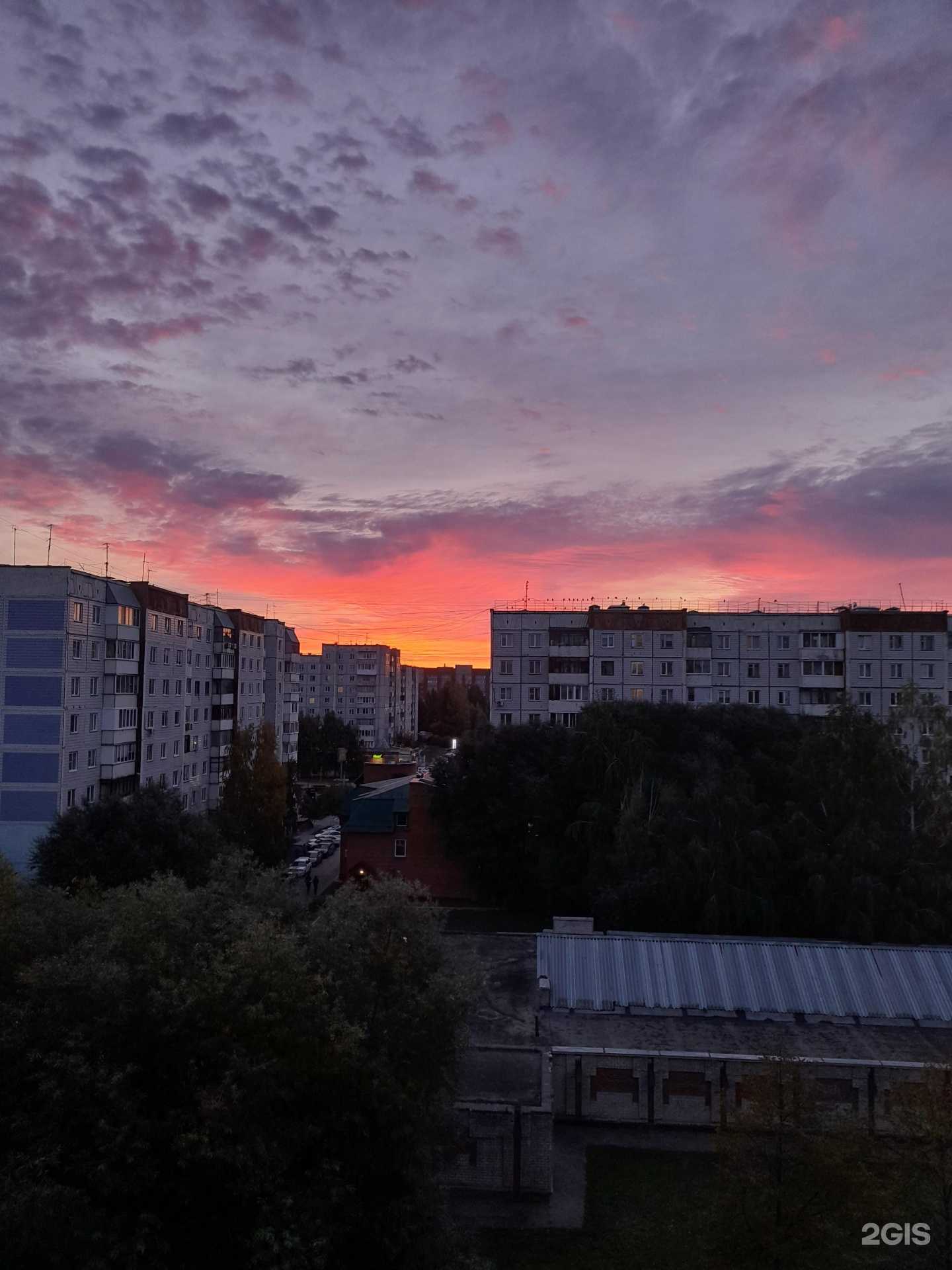 Отзывы на компанию Живика в Барнауле c фото