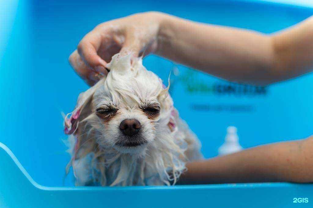 Отзывы на компанию PICASSO GROOM в г. Ростов-на-Дону c фото