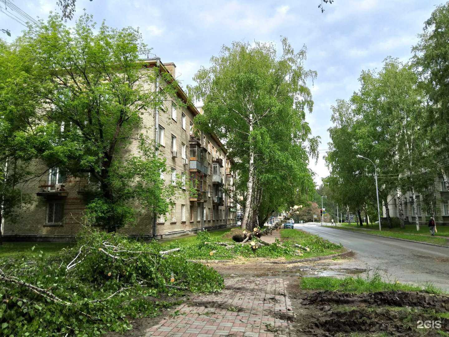 Отзывы на компанию Slowly stretch&yoga studio в Новосибирске c фото - фотография 2 из 2