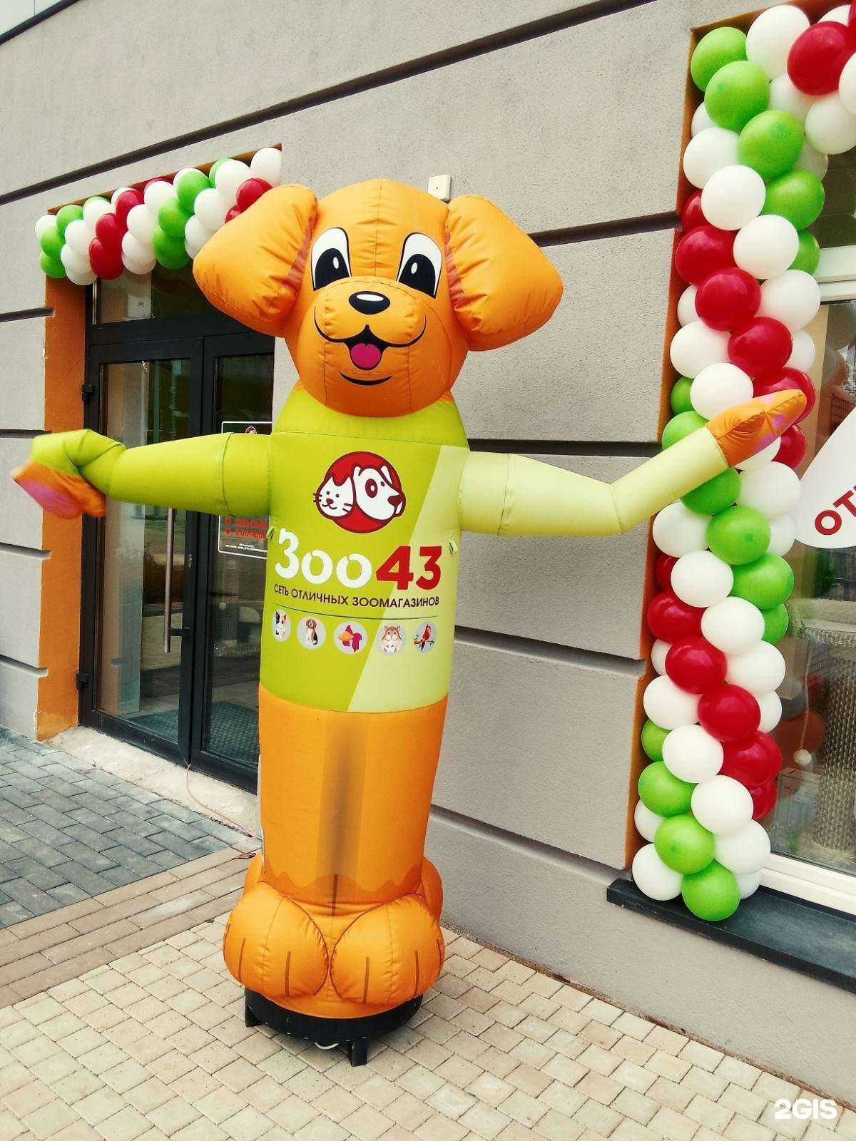 Отзывы на компанию Зоо43 в Кирове c фото