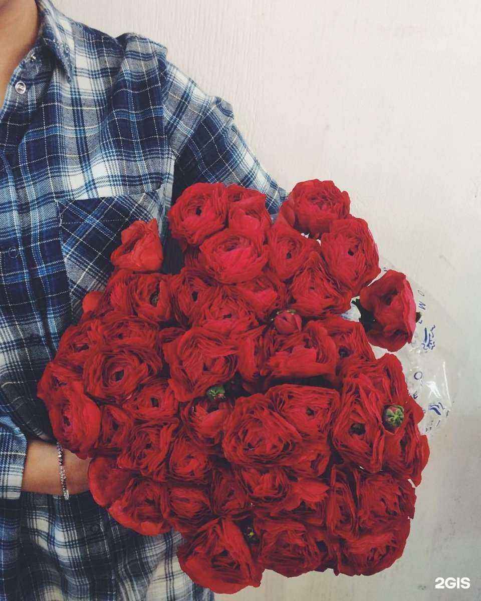 Отзывы на компанию Байкал flora в Иркутске c фото