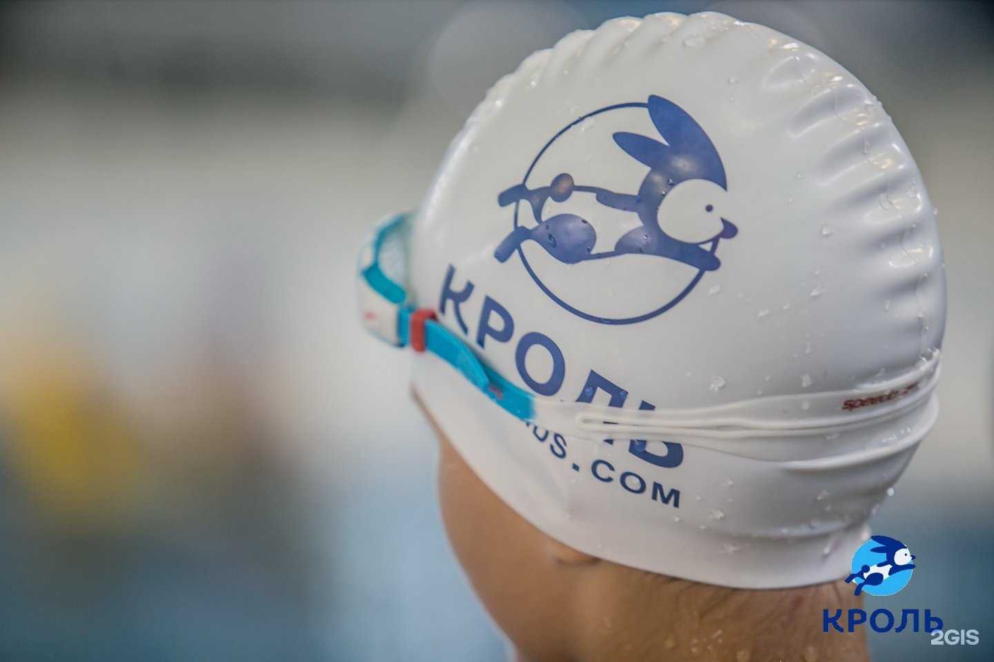 Отзывы на компанию Кроль в Омске c фото