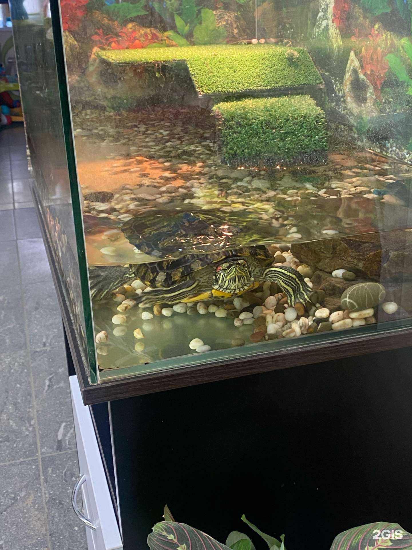 Отзывы на компанию Персона+ в Вологде c фото