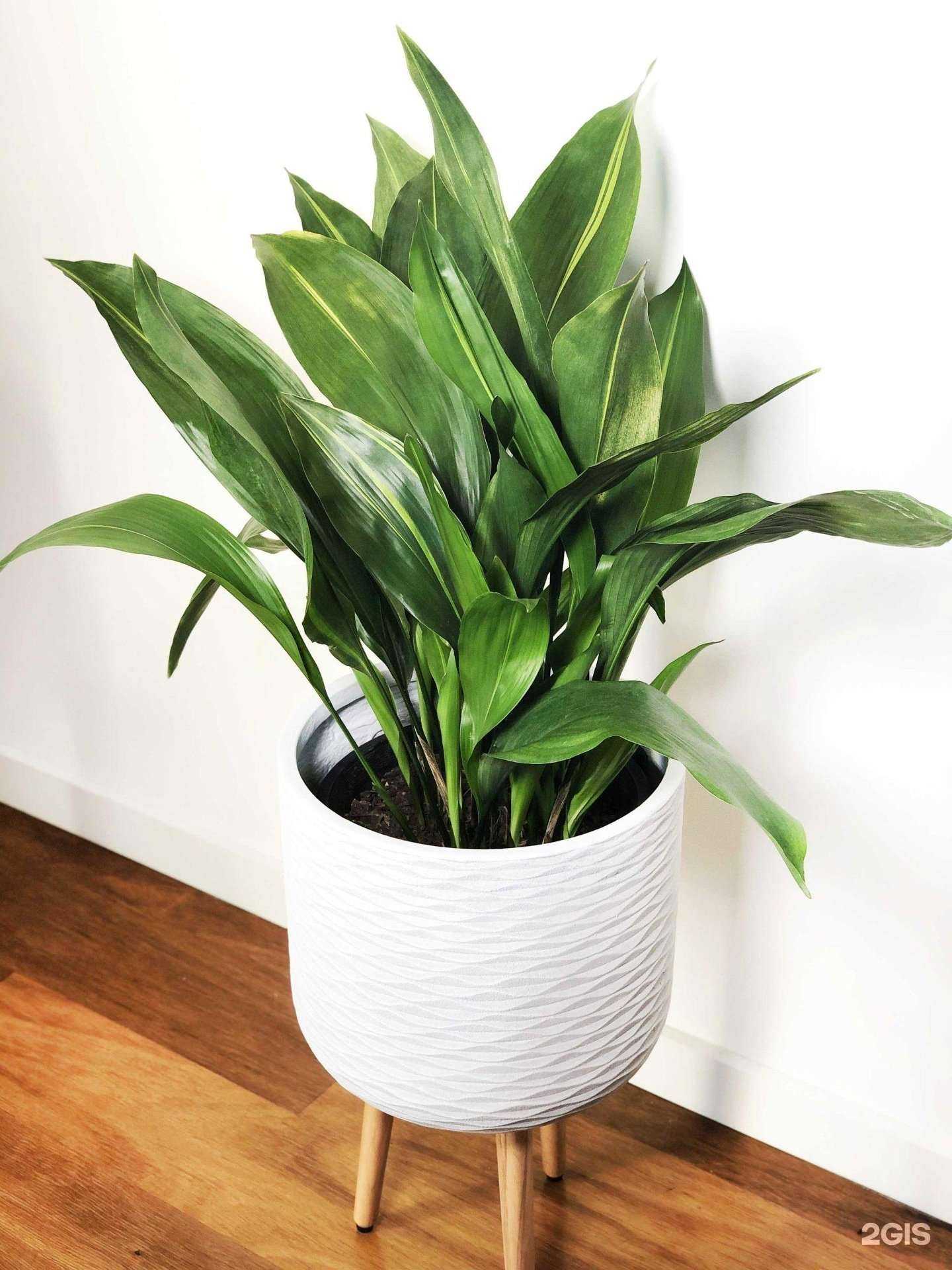 Отзывы на компанию Ульяновский государственный педагогический университет им. И.Н. Ульянова в Ульяновске c фото