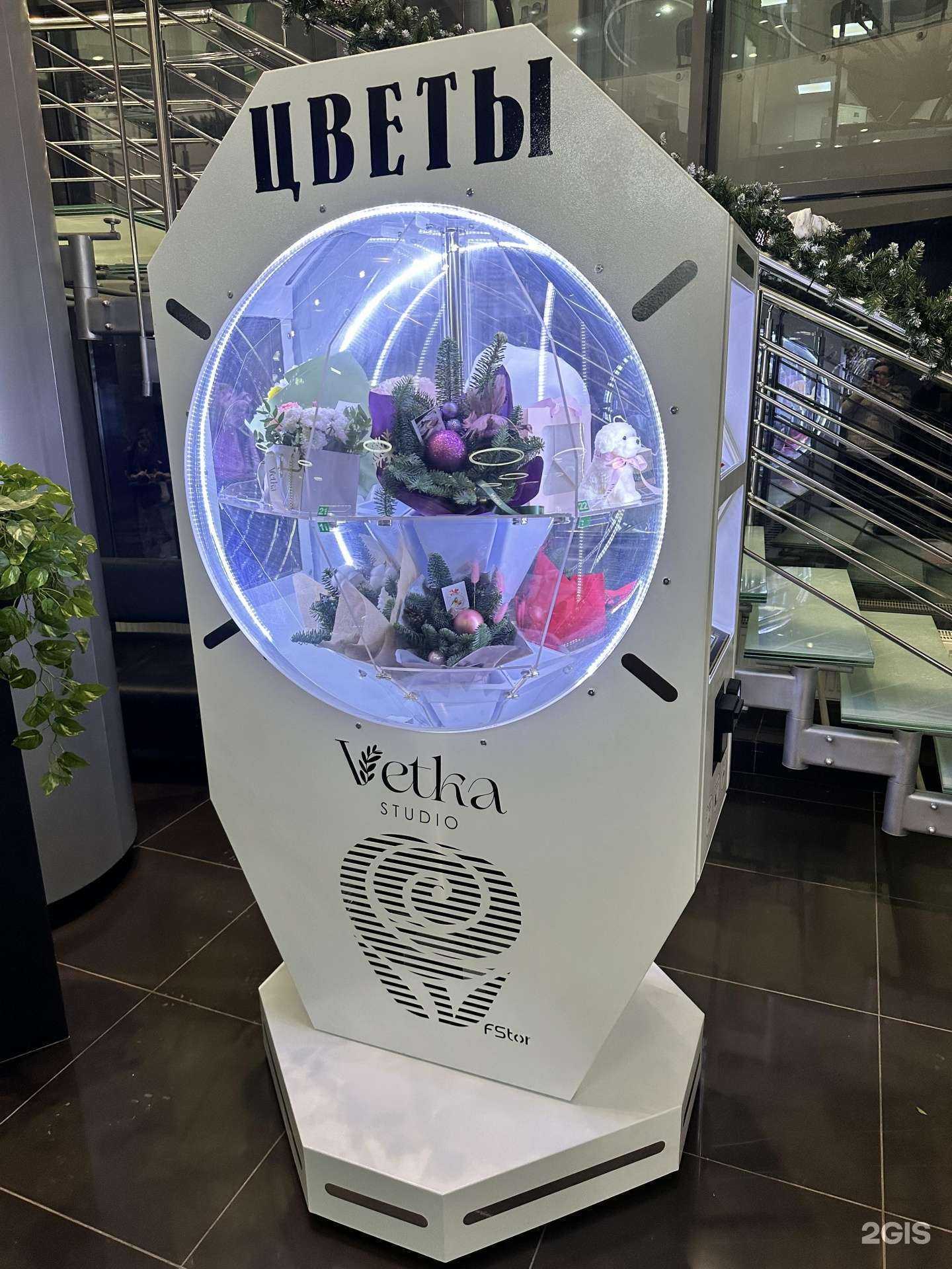 Отзывы на компанию Vetka в г. Набережные Челны c фото