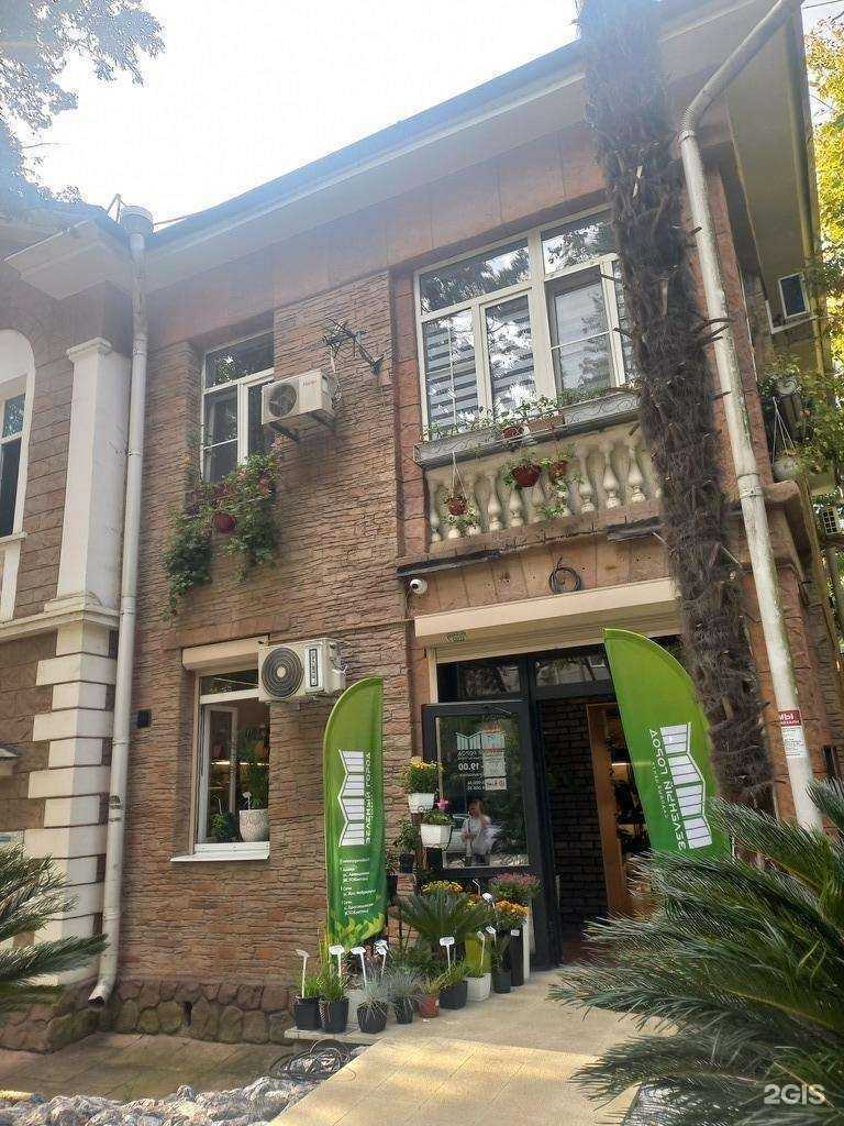 Отзывы на компанию Зеленый город в Сочи c фото