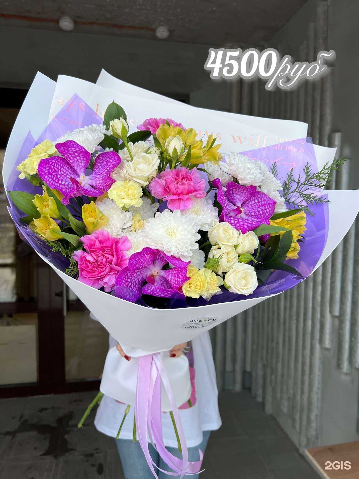 Отзывы на компанию Клевер в Барнауле c фото