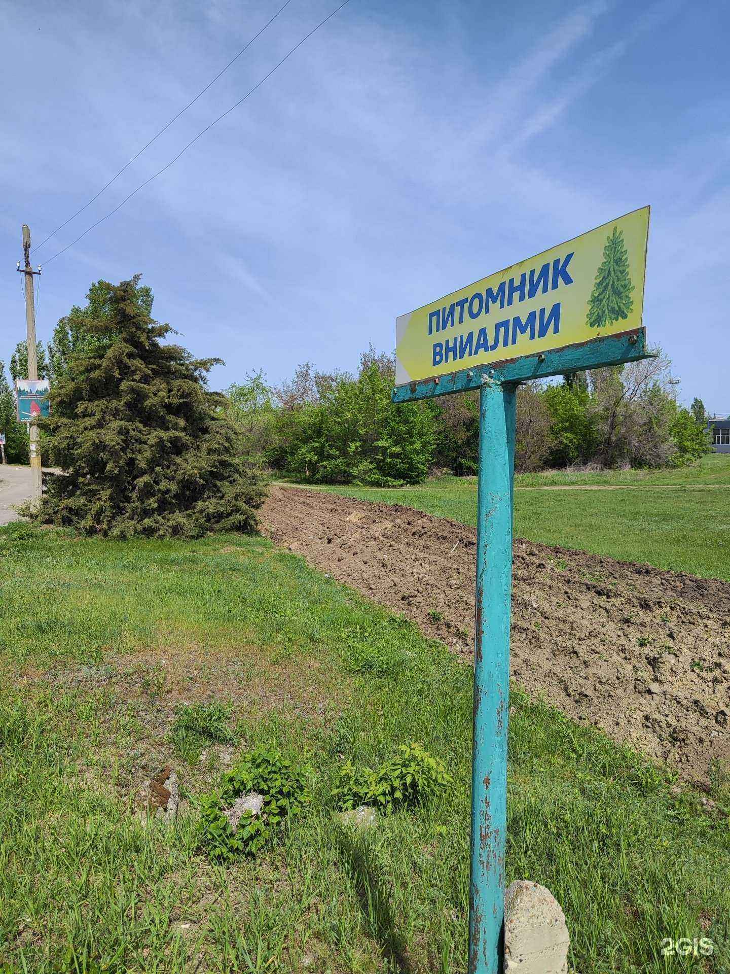 Отзывы на компанию Нижневолжская станция по селекции древесных пород в г. Камышин c фото