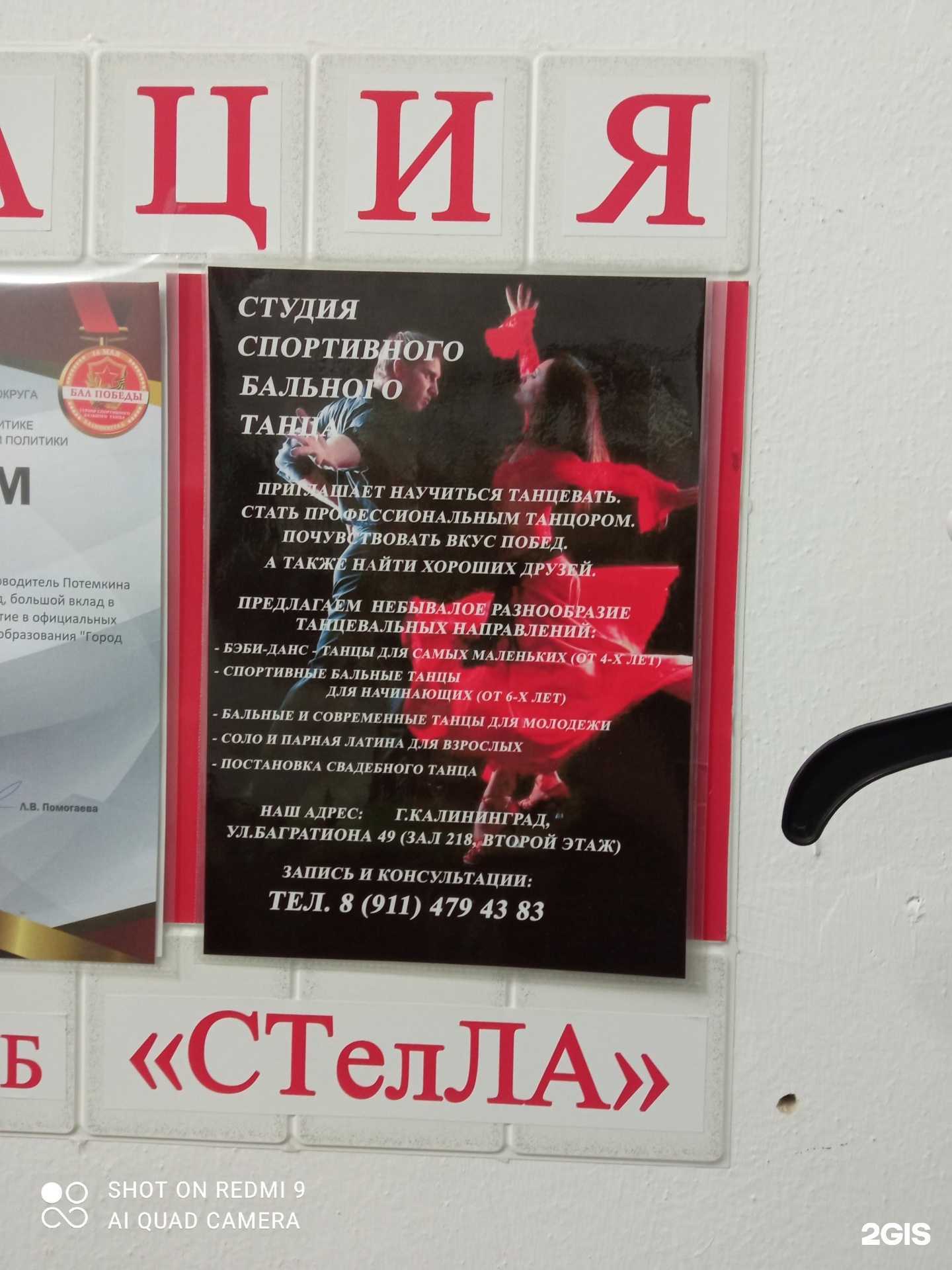 Отзывы на компанию СТелЛА в Калининграде c фото