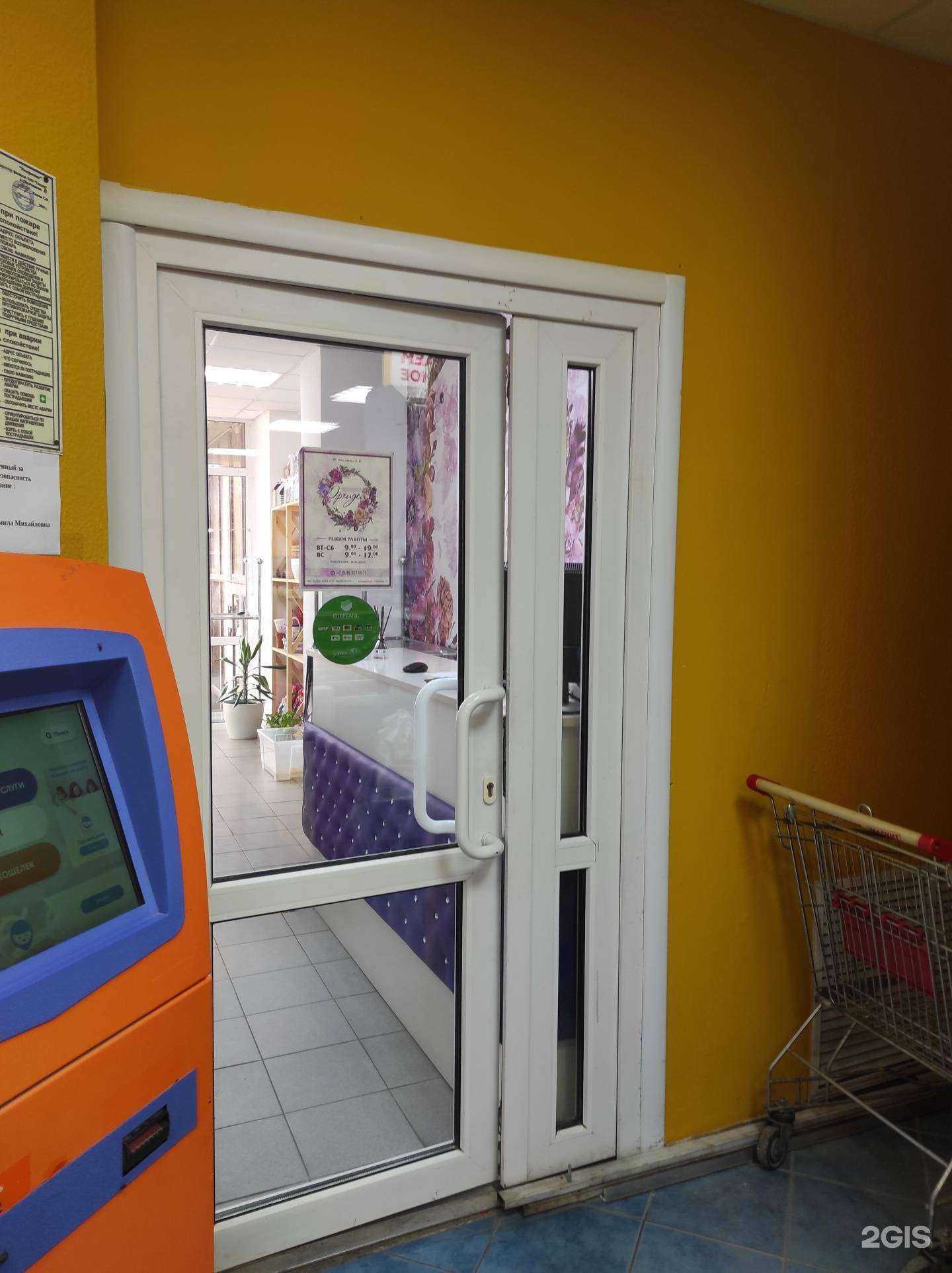 Отзывы на компанию Орхидея в г. Волгодонск c фото