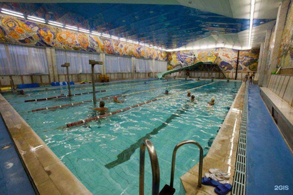 Отзывы на компанию Дельфин в г. Балаково c фото