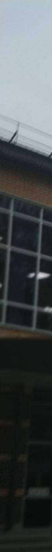 Отзывы на компанию Jump up в Сарапуле c фото - фотография 2 из 2