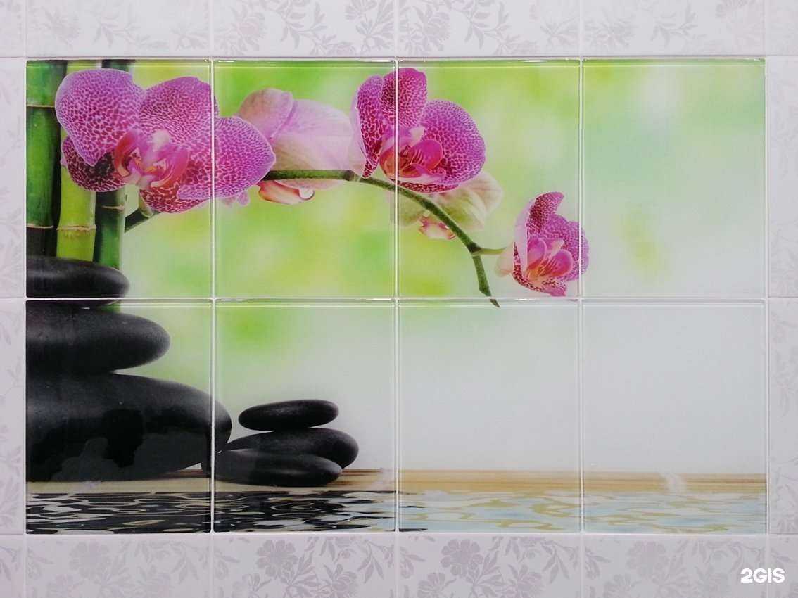 Отзывы на компанию Альбатрос в Самаре c фото