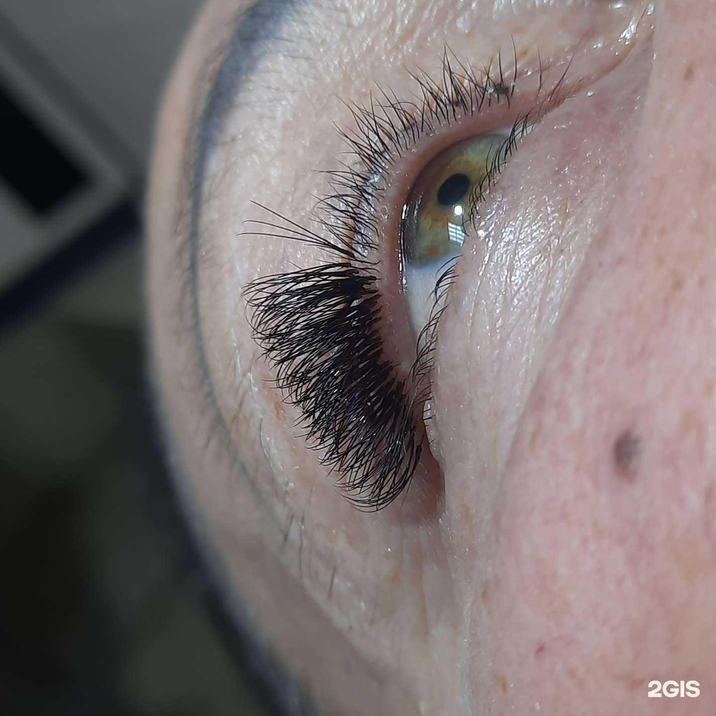 Отзывы на компанию Я в Геленджике c фото