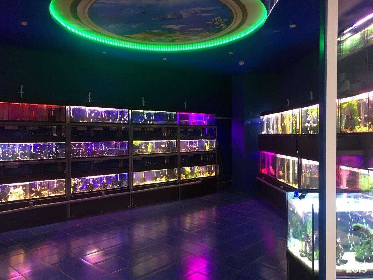 Отзывы на компанию Аквамир в г. Белоозёрский c фото