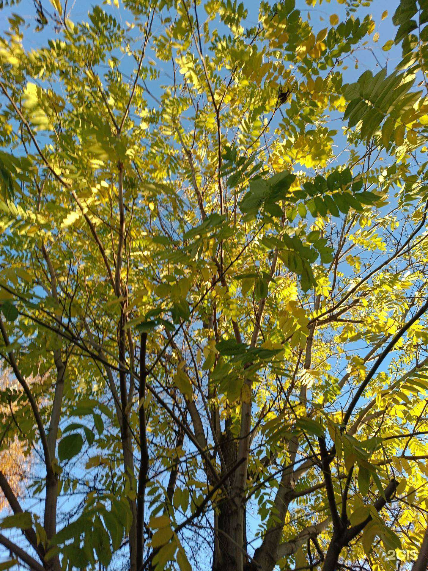 Отзывы на компанию Детский сад №364 в Новосибирске c фото