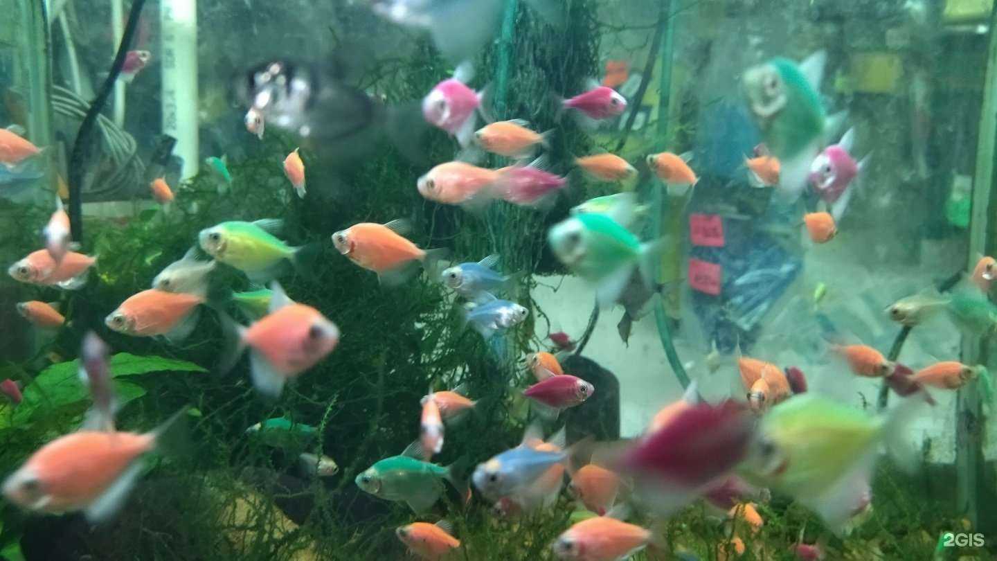 Отзывы на компанию Подводный мир в г. Узловая c фото