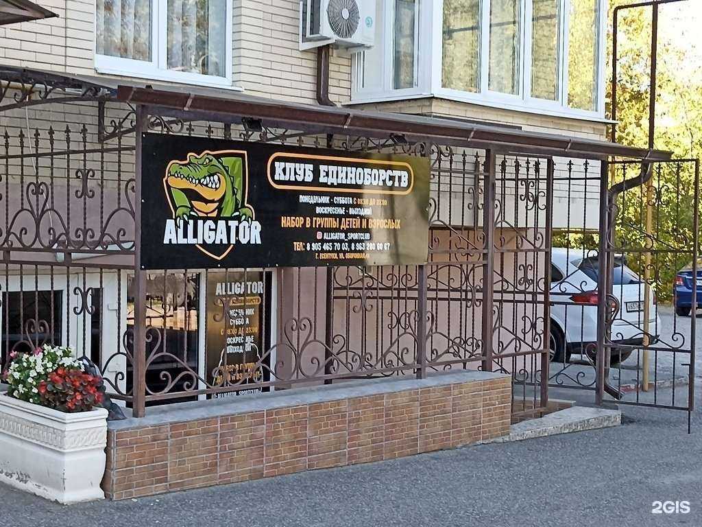 Отзывы на компанию Alligator в г. Ессентуки c фото