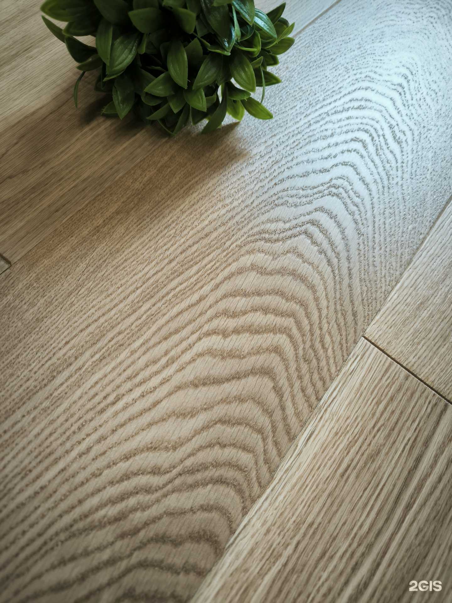 Отзывы на компанию Поларте в Барнауле c фото