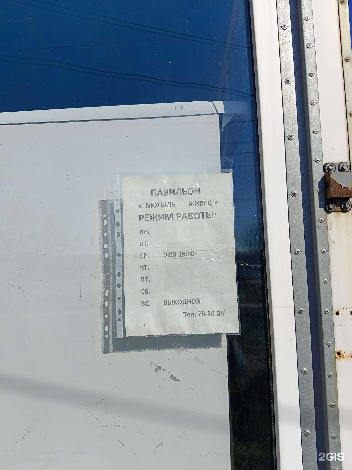 Отзывы на компанию Магазин живой наживки в г. Киров c фото