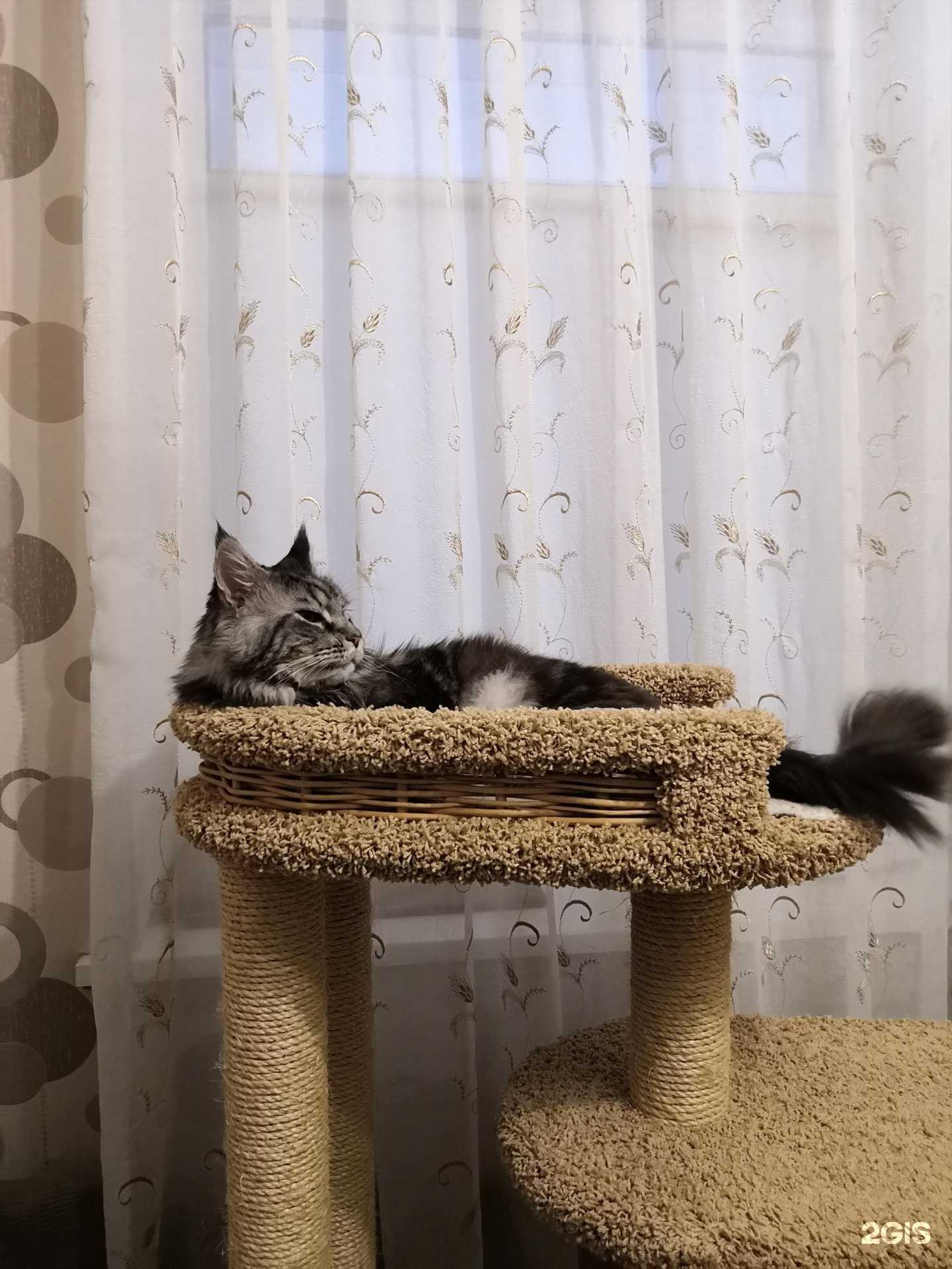 Отзывы на компанию Зоолэнд в Комсомольске-на-Амуре c фото