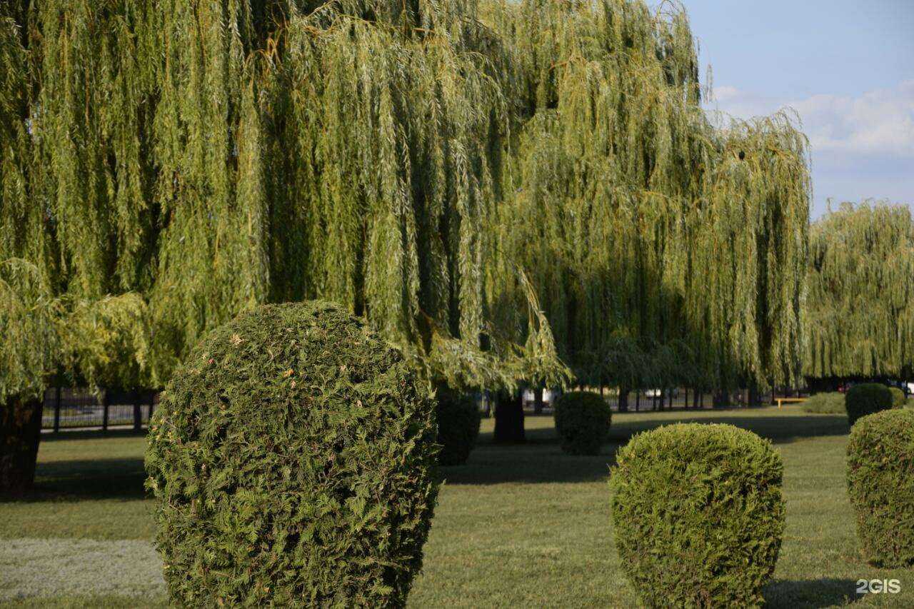 Отзывы на компанию Центр паллиативной медицины в г. Тамбов c фото