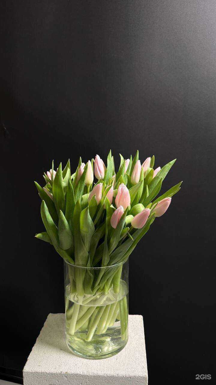 Отзывы на компанию Цветаева в Калининграде c фото