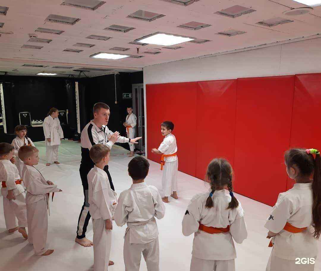Отзывы на компанию Киокусинкай каратэ-до в г. Нижневартовск c фото