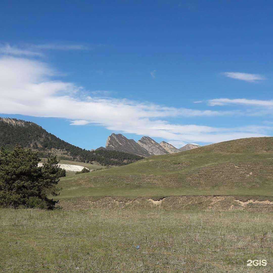Отзывы на компанию Medina shop в Гудермесе c фото