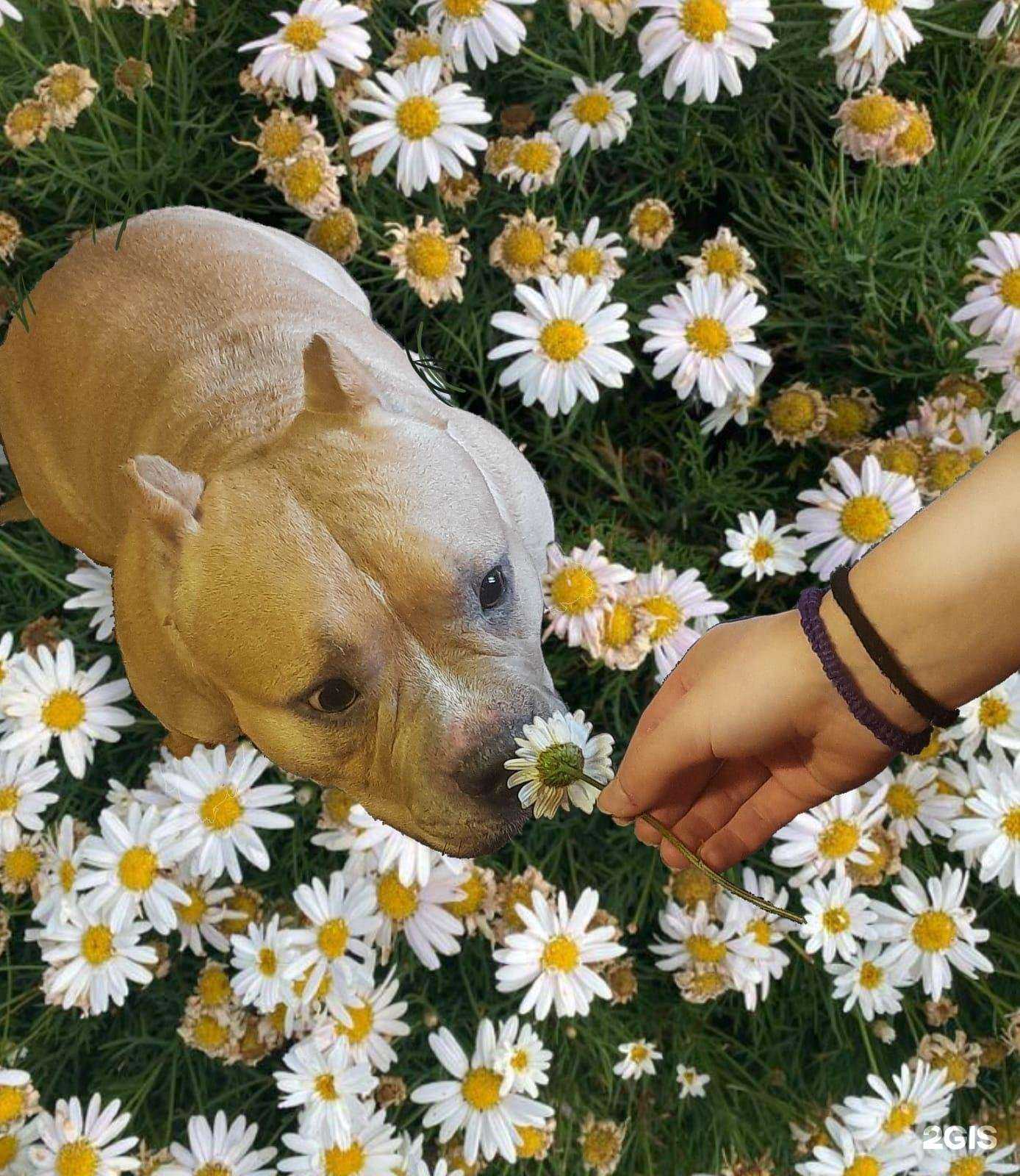 Отзывы на компанию Илай в Сыктывкаре c фото