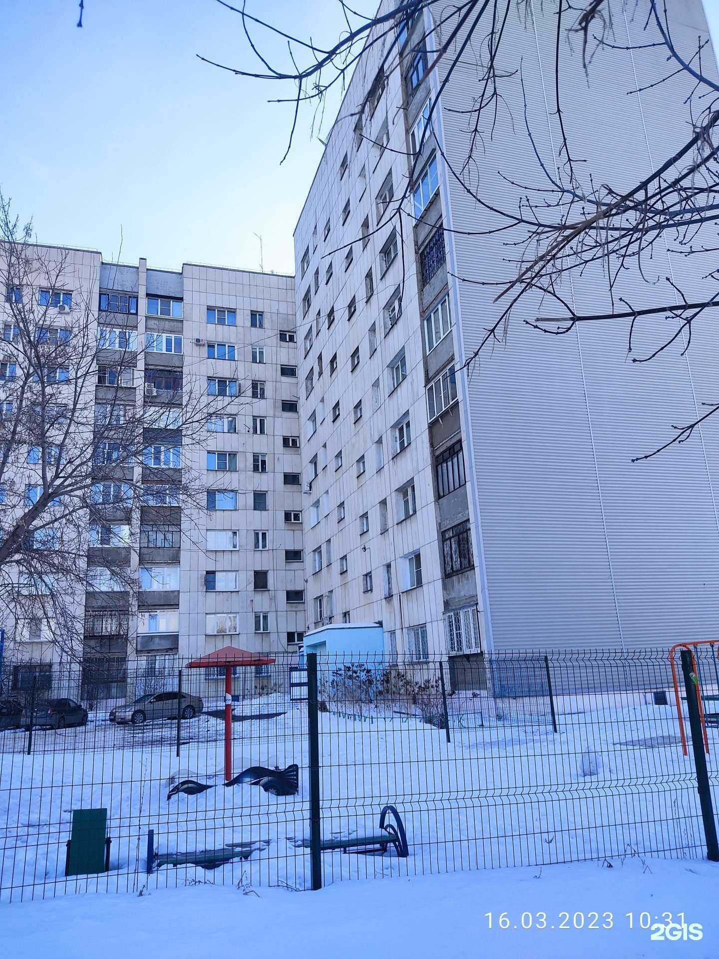 Отзывы на компанию Котопёс в Челябинске c фото - фотография 2 из 2